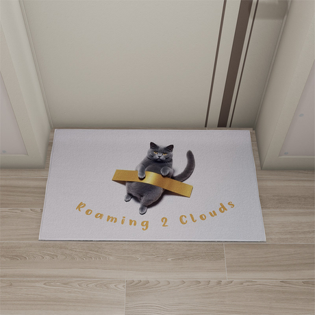 R2C230707-1 Custom Digital Printed Cute Cat Anti Slip Easy Clean Door Floor Mat Logo Carpet For Home