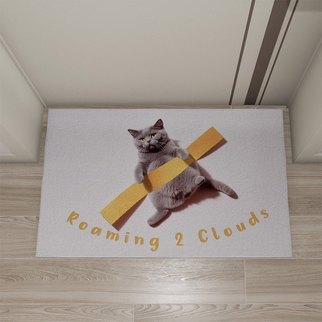 R2C230707-2 Digital Printing Personalized Gift Your Text Dog Cat Photo Custom Logo Non-Slip Floor Mat Indoor Door Mats For Home Entrance