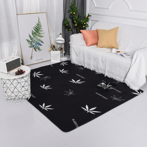 TMFL221215 Flannel Soft Rug Printed Area Rug Middle Sponge Layer Mat for Living Room Bedroom