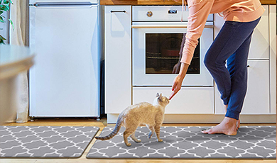 The kitchen floor is dirty? Let the floor mats help